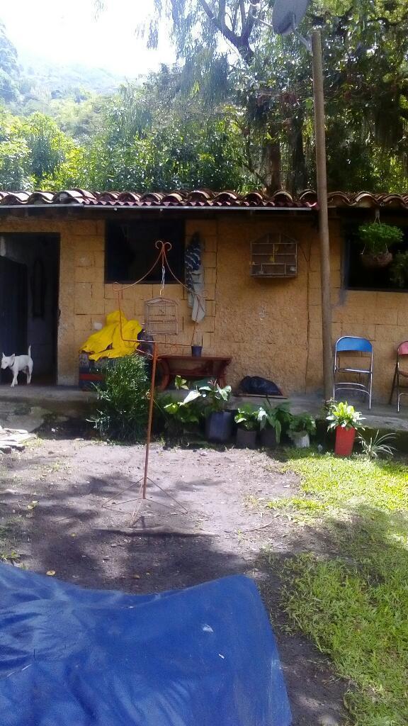 Casa finca