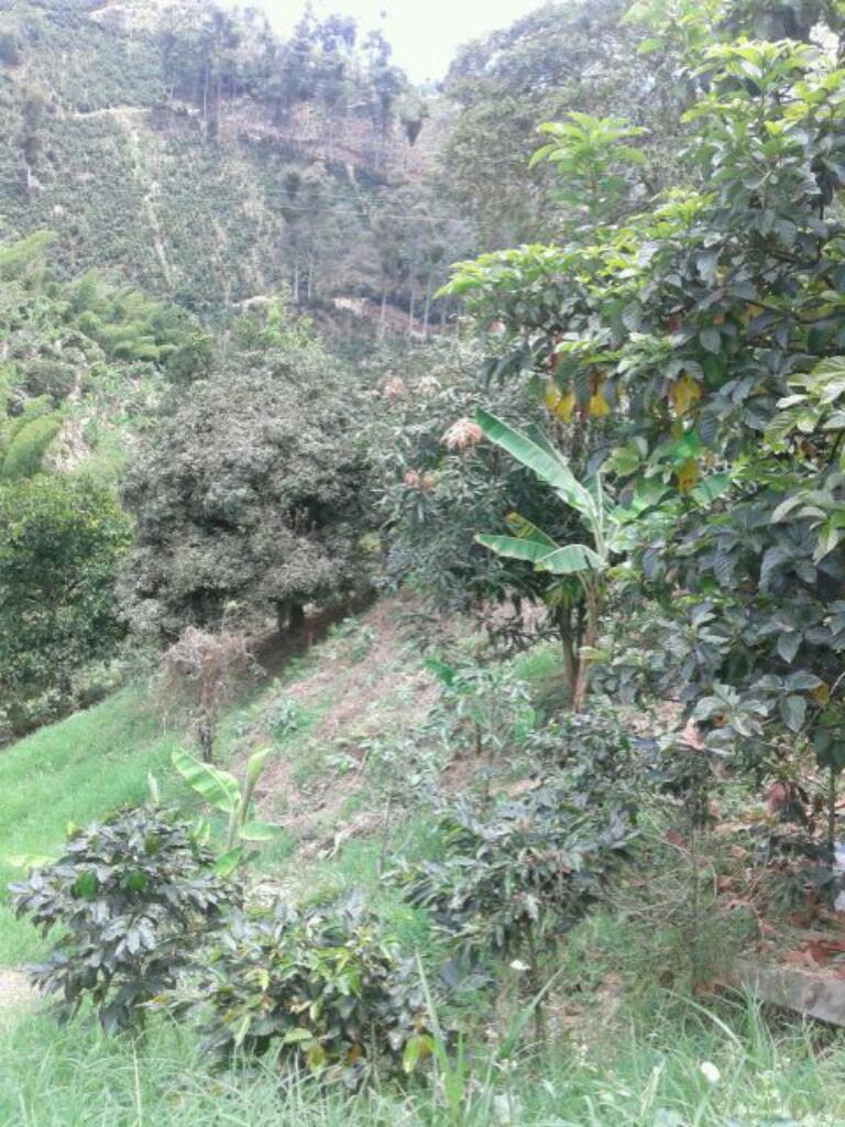 SE VENDE FINCA