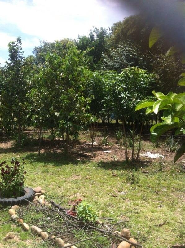 SE VENDE EXCELENTE FINCA