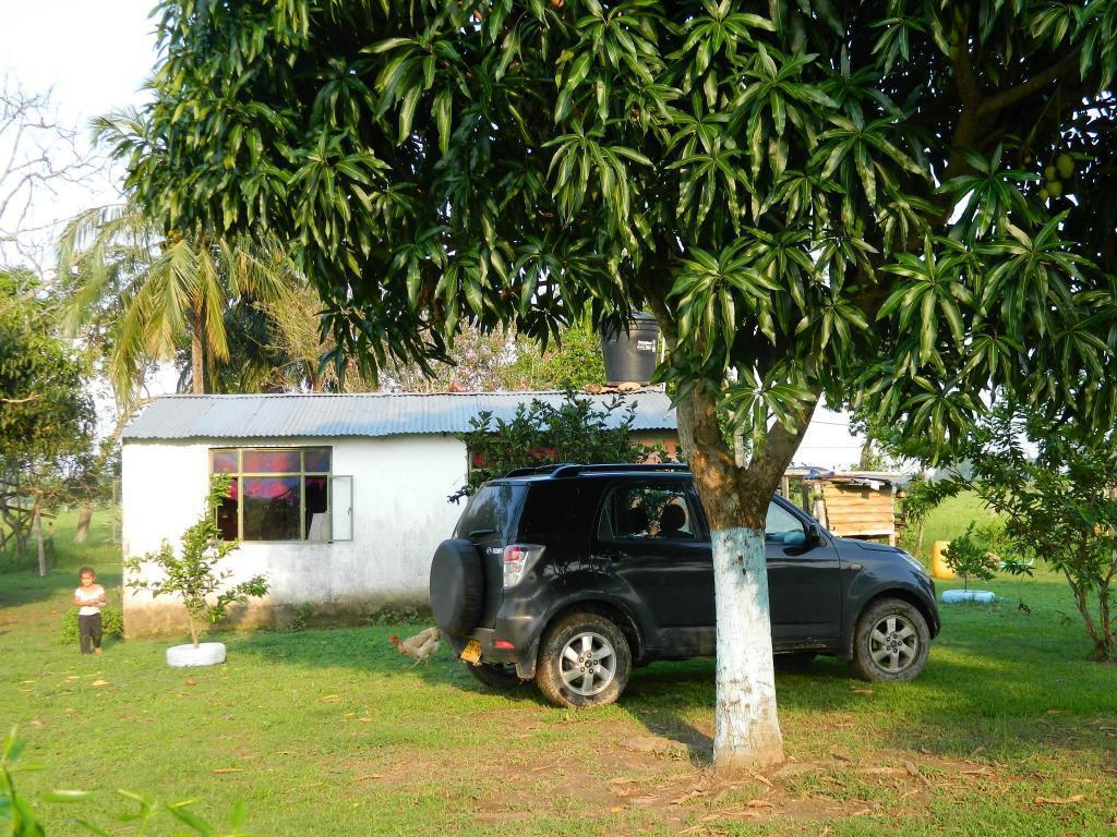 VENDO FINCA EN EL LLANO DE 36 HECTAREAS A 142 KILOMETROS DE BOGOTA