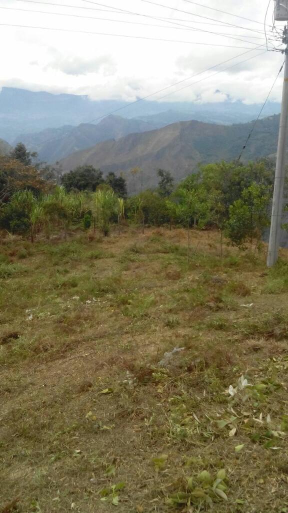 Vendo parsela de 2100 mts en pacho cundinamarca