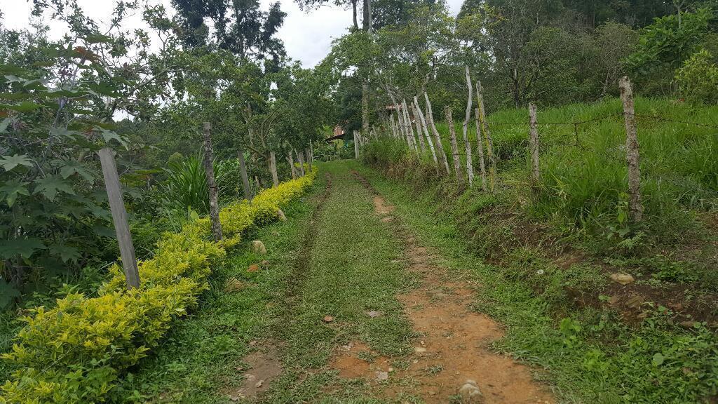 Vendo o permuto finca en cachipay