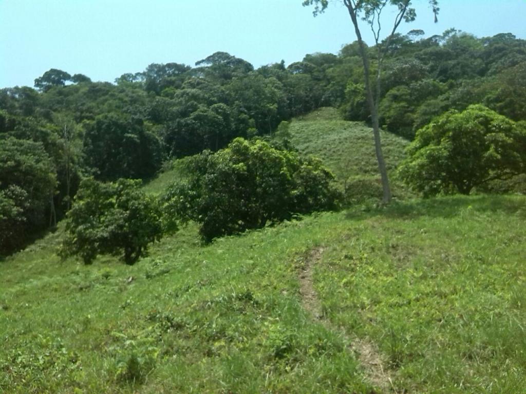 GANGA SE VENDE LOTE DE 5 HECTAREAS muy Cerca a la Ciudad de