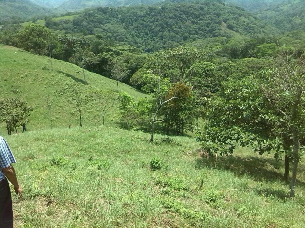 GANGA SE VENDE LOTE DE 5 HECTAREAS muy Cerca a la Ciudad de