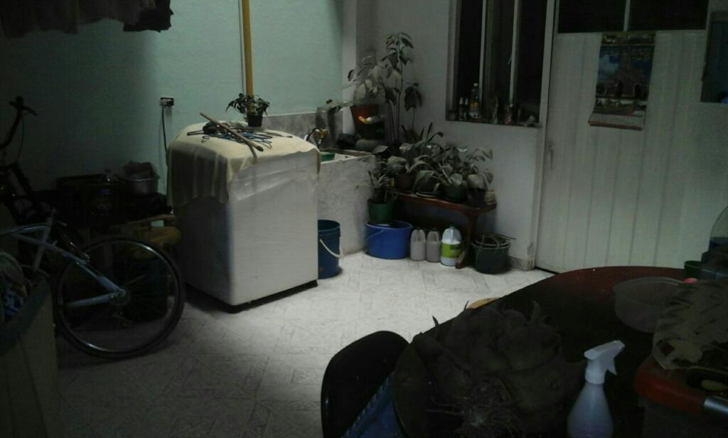 Casa rentable
