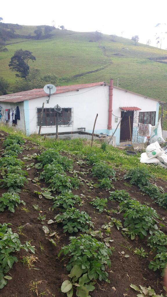 Sibate Vereda Fraga monte. Finca 12 hectáreas