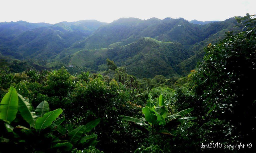 VENDO FINCA EN TERUEL HUILA