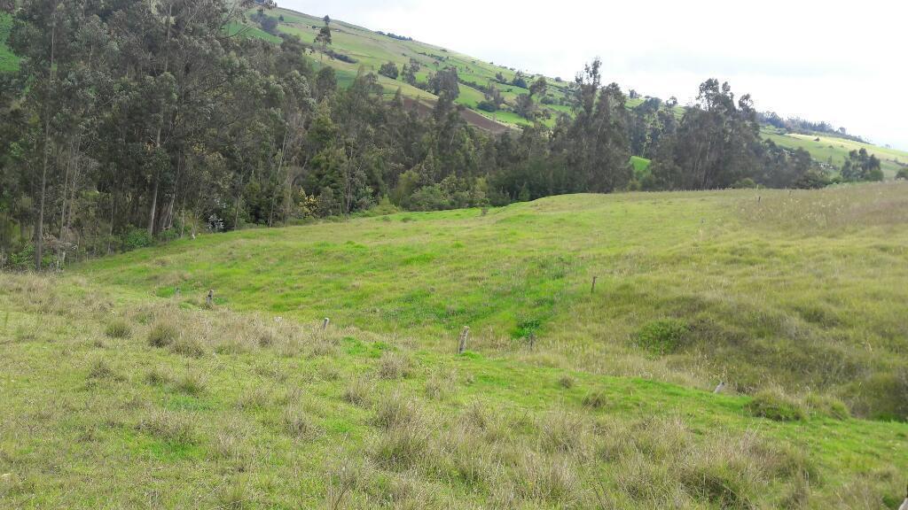 VENDO FINCA GANADERA O FINCAS DE RECREO