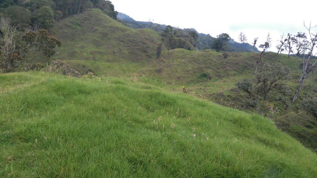 Se permuta o vende finca ganadera