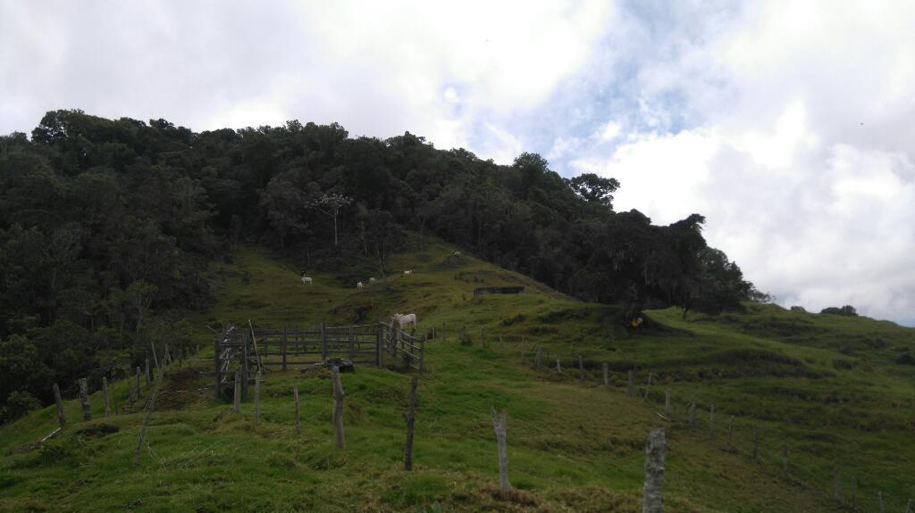 Se permuta o vende finca ganadera