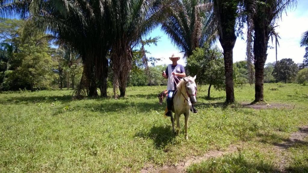 Venta Finca Producción Ganadera