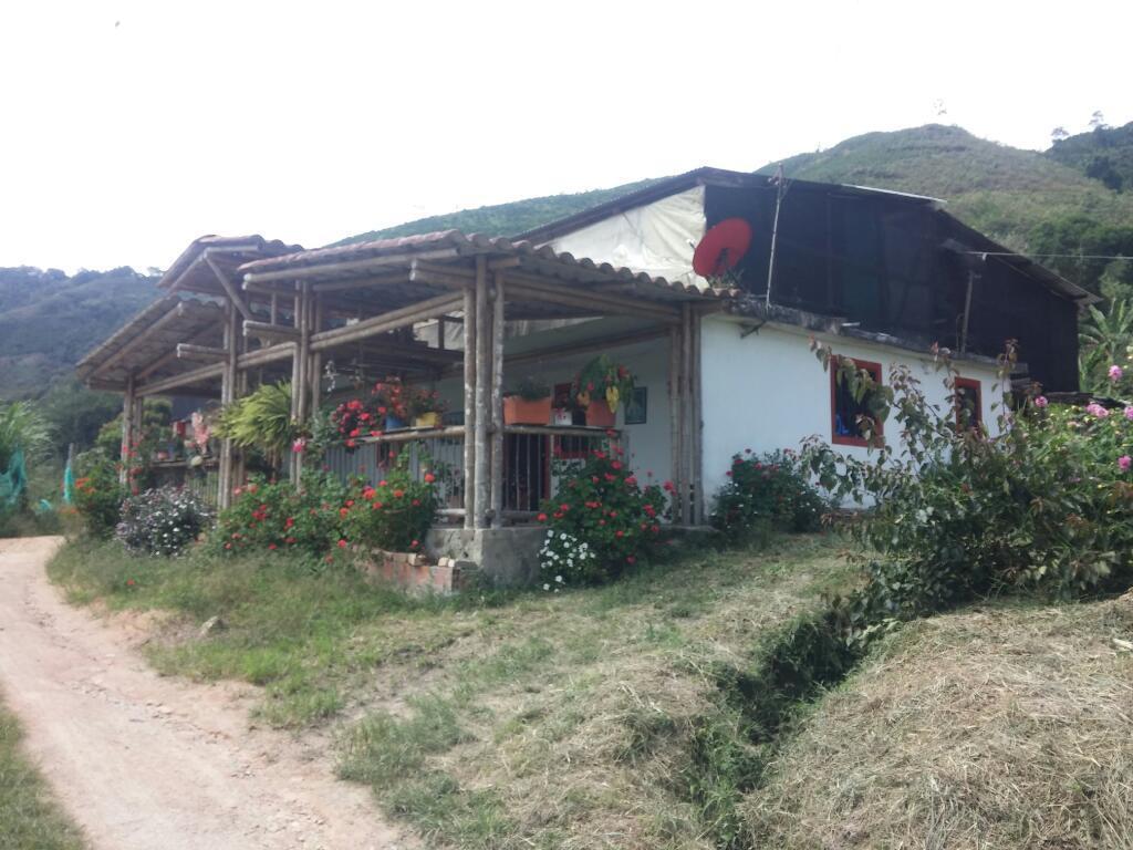 VENDO HERMOSA FINCA CAFETERA!!