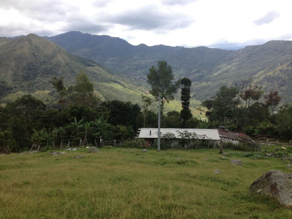 Finca 3.5 hectareas chinacota