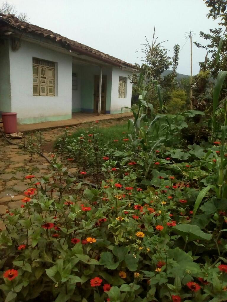 Finca de Tres Plazas Y Media