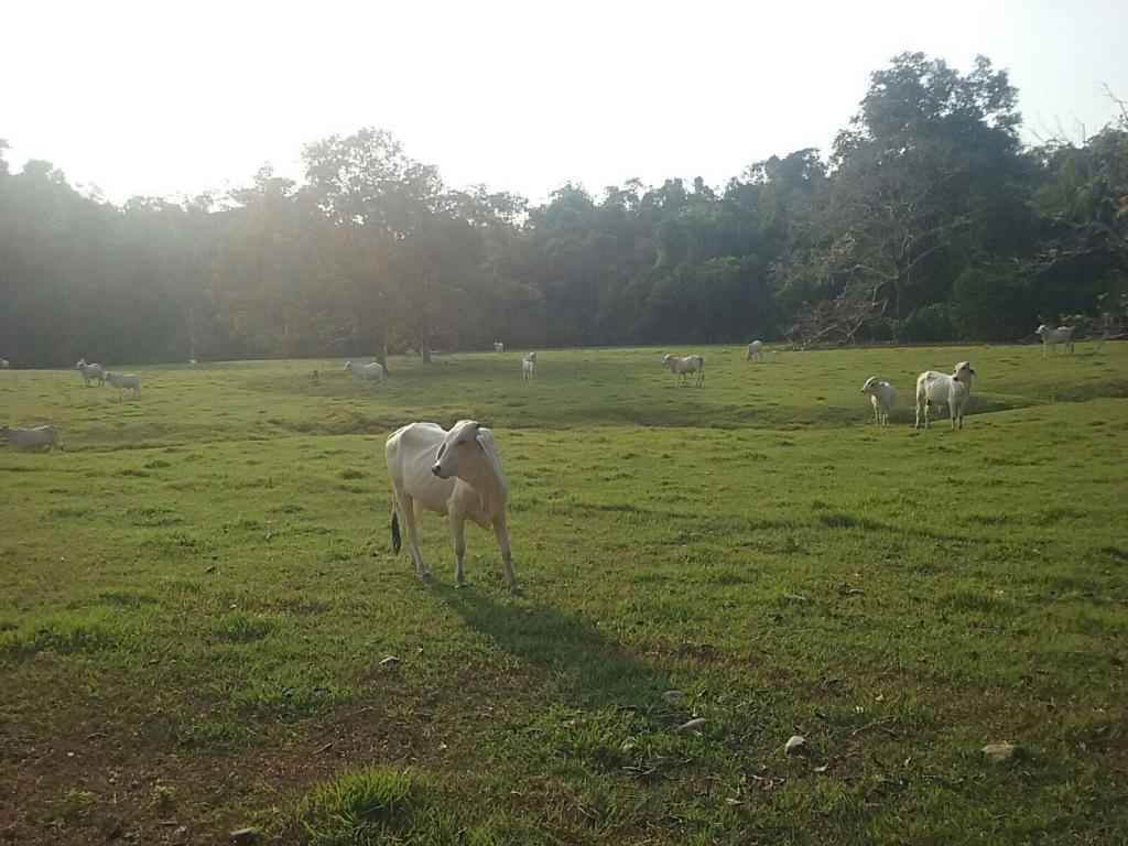 VENPERMUTO FINCA SUPERBARATA SECTOR BARRANCABERMEJA