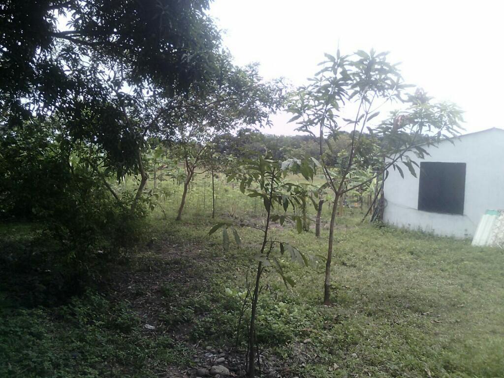 Casa Lote sobre La Auto Pista