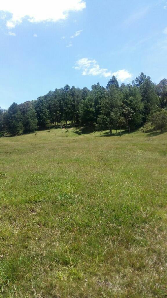 Vendo finca ganbita santander