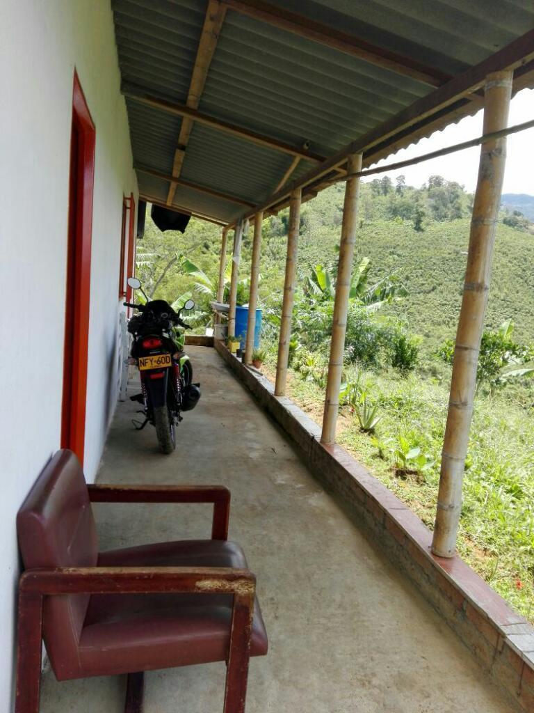 Se Vende Finca de 3 Cuadras en Sevilla. Café, Plátano, Cítricos Y Guadua