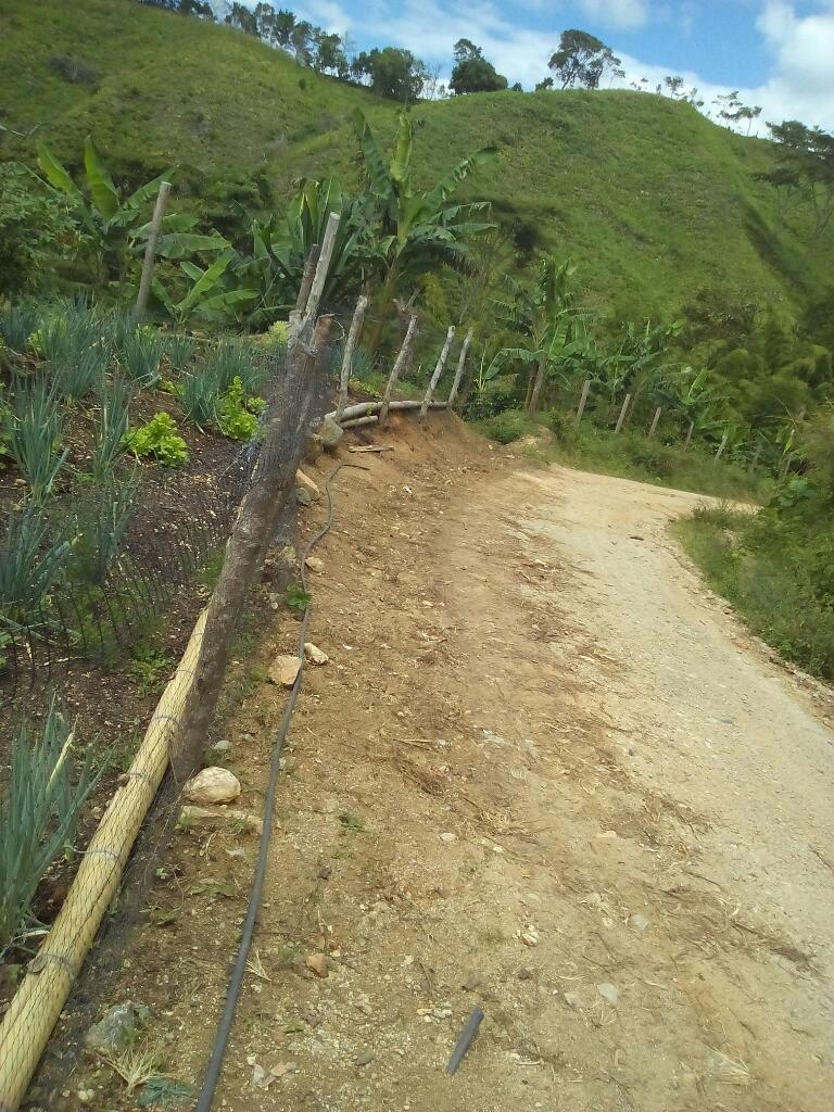 Se vende finca cafetera