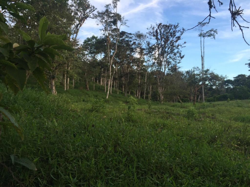 VENPERMUTO FINCA ICONOZO  15 HECTAREAS