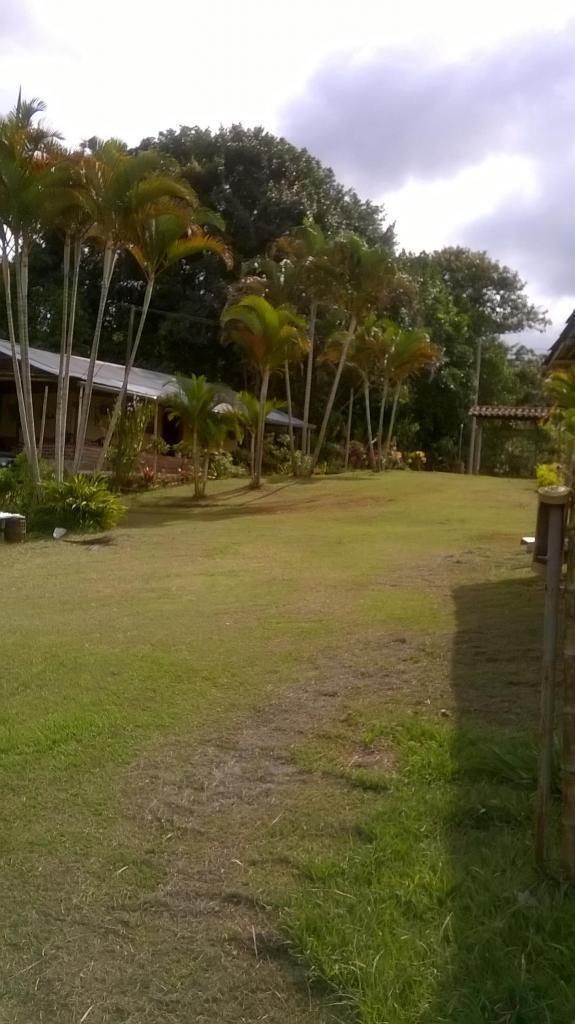 Ganga hermosa finca cafetera