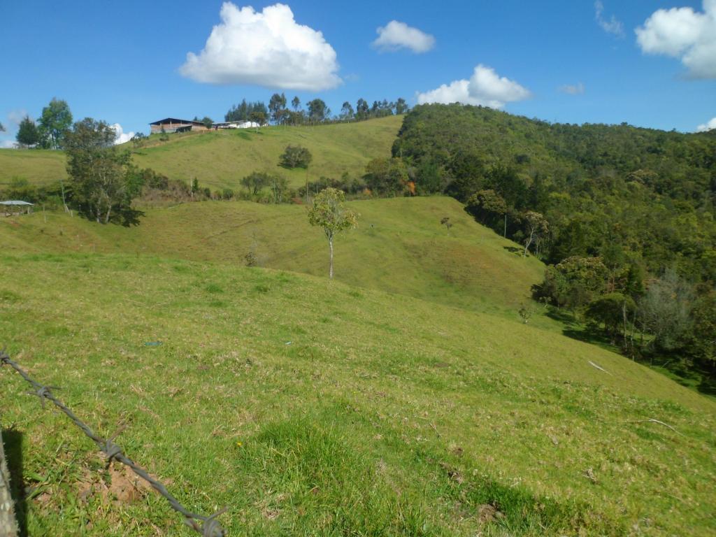 ESPECTACULAR FINCA, BIEN UBICADA EN GUARNE