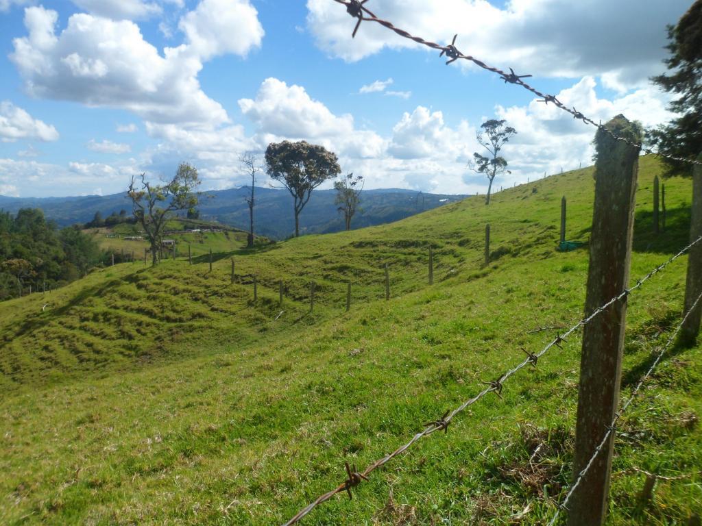 ESPECTACULAR FINCA, BIEN UBICADA EN GUARNE