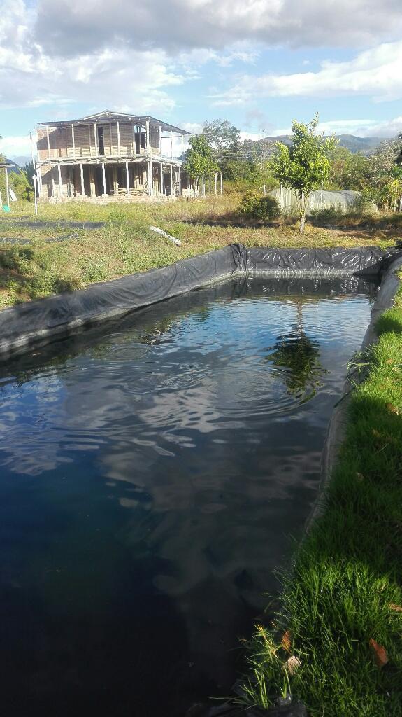 Se vende finca cafetera en Tunja