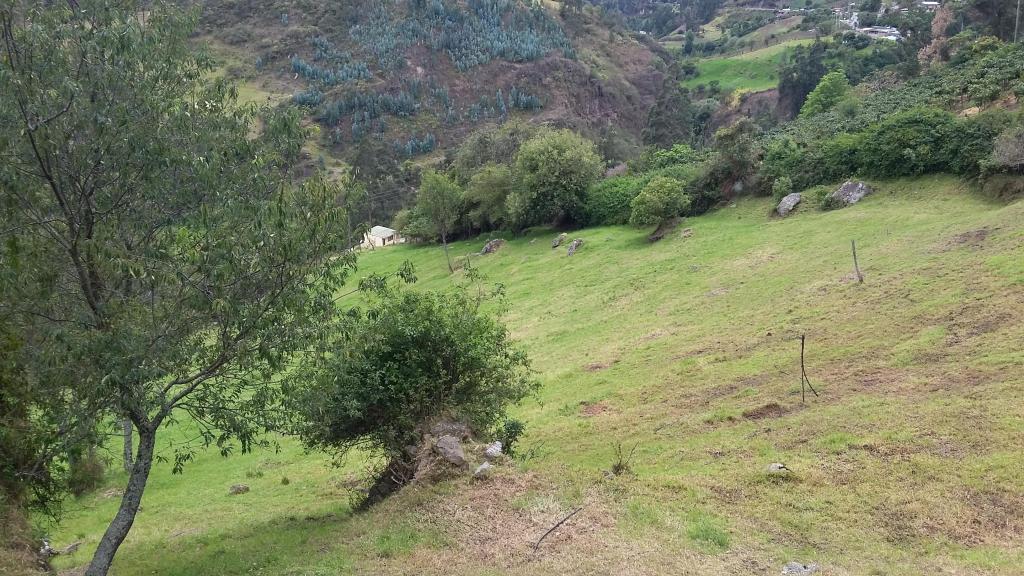 Finca en clima templado