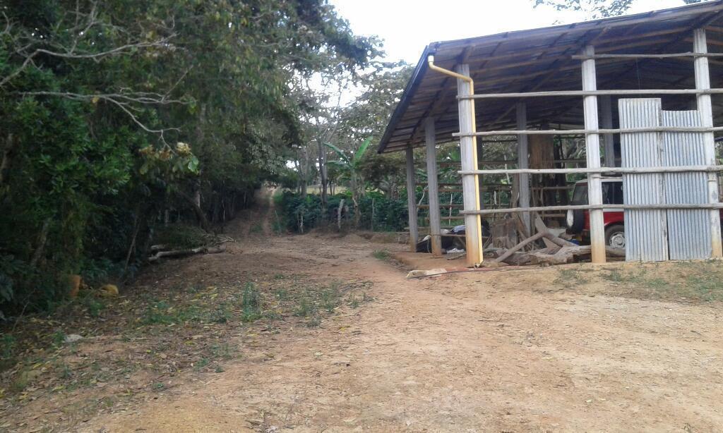 Se Vende Finca de 7 Hectáreas a 10 Minutos Del Peaje de