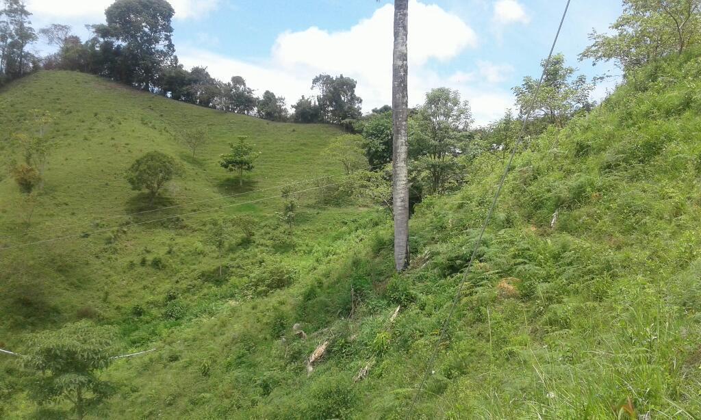 Vendo O Permuto Finca Anzoategui