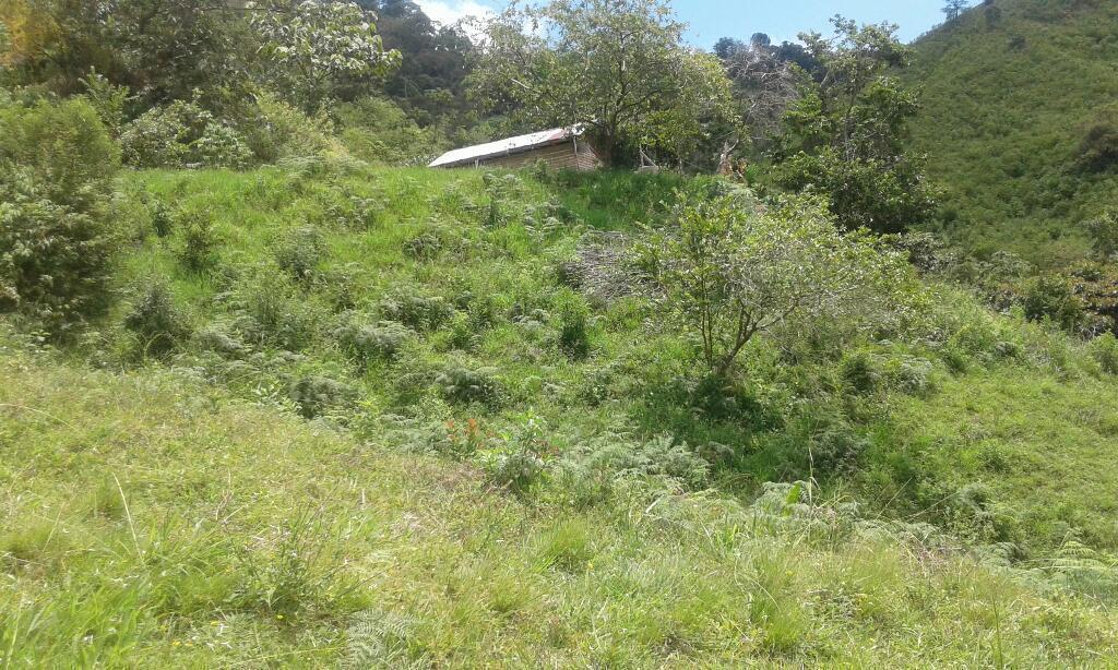 Vendo O Permuto Finca Anzoategui