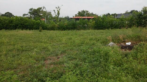 Vendo o permuto lote campestre en la ulloa