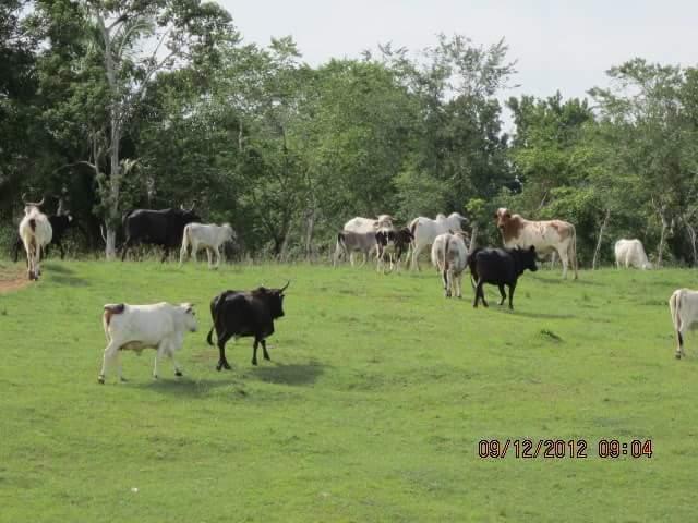 VENTA DE ESPECTACULAR FINCA SECTOR PEAJE MORRISO SAN MARTIN CESAR COMUNÍQUESE YA 3187777657 CÓDIGO 082