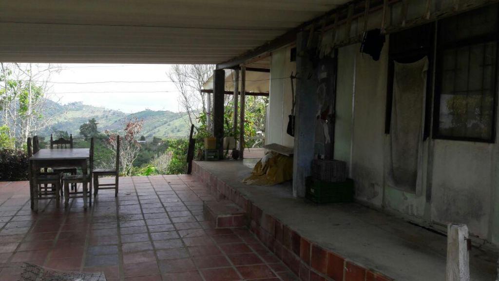 SE VENDE FINCA EN EL CEDRO  HERMOSA VISTA LA REPRESA