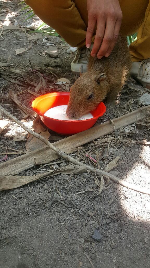 Vendo Parcela Ubicada X La Via a La Guajira a 1km de La Via Principal