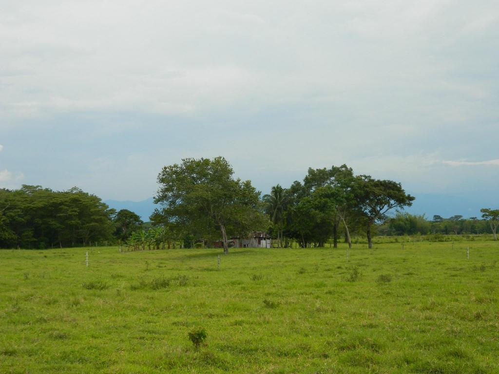 FINCA GANADERA DE 36 HECTAREAS A 142 KILOMETROS DE BOGOTA