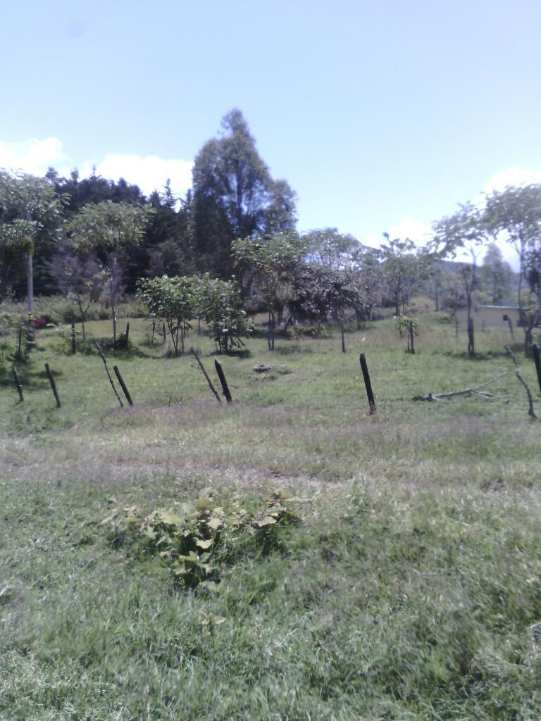 Hermasa Finca