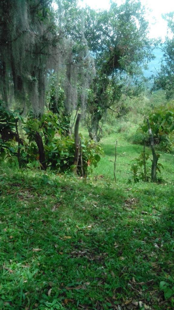 VENTA FINCA CHARALA VEREDA LAGRIMA COMUNÍQUESE YA 3187777657 ALTA CÓDIGO 098