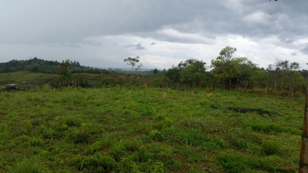 LOTE EN CAJIBIO VEREDA EL ATARDECER VENTA