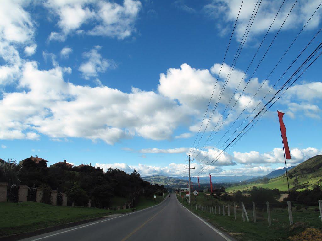 LOTE EN  ADELANTE DE MACADAMIA