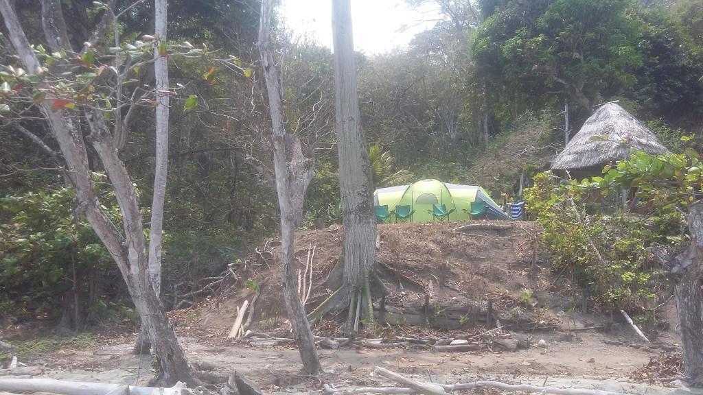 Lote San Fransisci (patio Bonito) Trigan