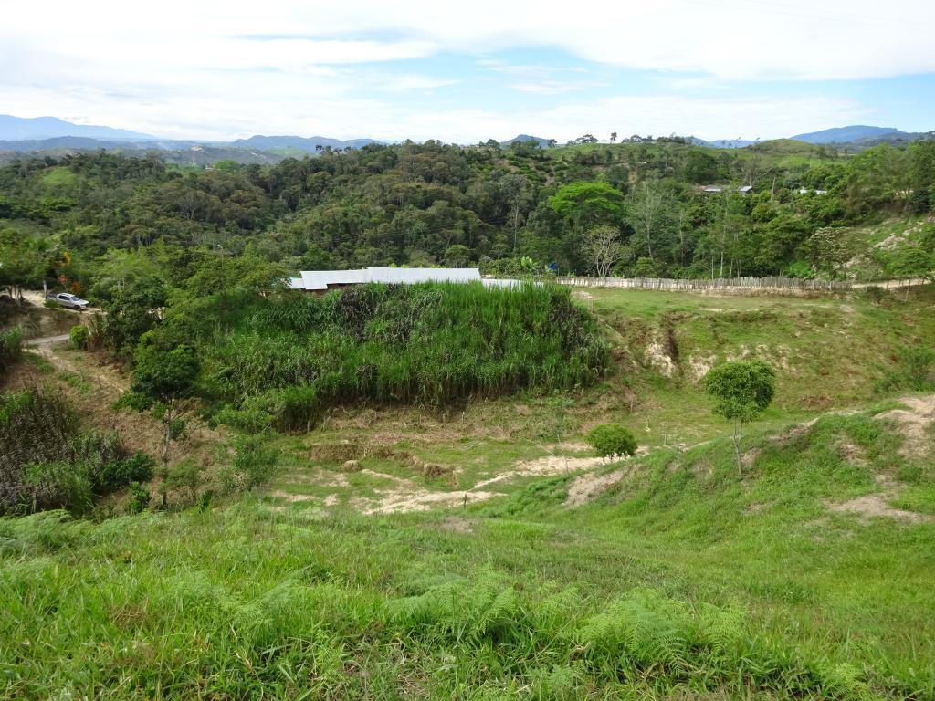 Finca a 45 min Bucaramanga cacaotera de 7hª 7000 m² agua propia