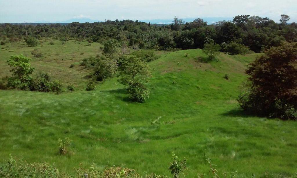 VENTA HERMOSA FINCA VEREDA SARZAL COMUNÍQUESE YA 3187777657 CÓDIGO 100