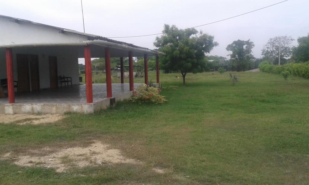 venta de 90 hectareas ubicadas en el corregimiento de ballestas Municipio de Turbana