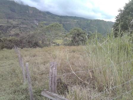 LOTE 1.046 MTS CHOACHI