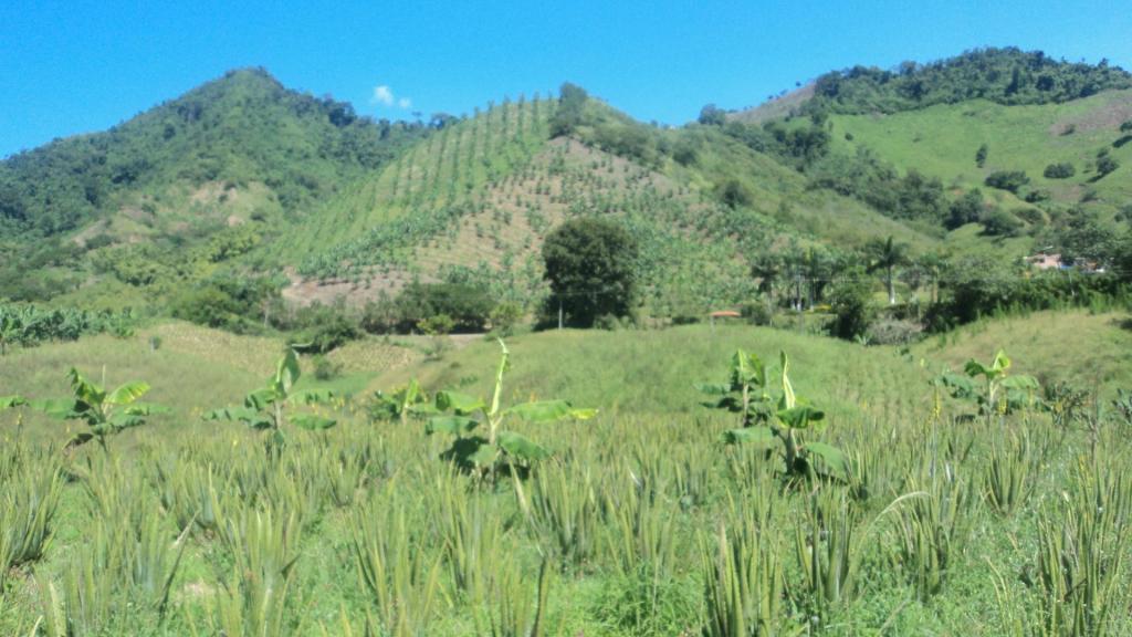 TERRENO Y/O FINCA EN COMBIA