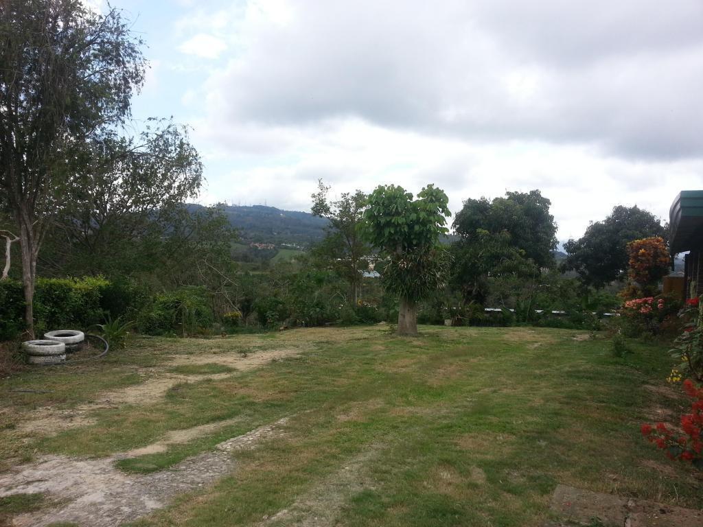 VENDO FINCA LEBRIJA PALONEGRO