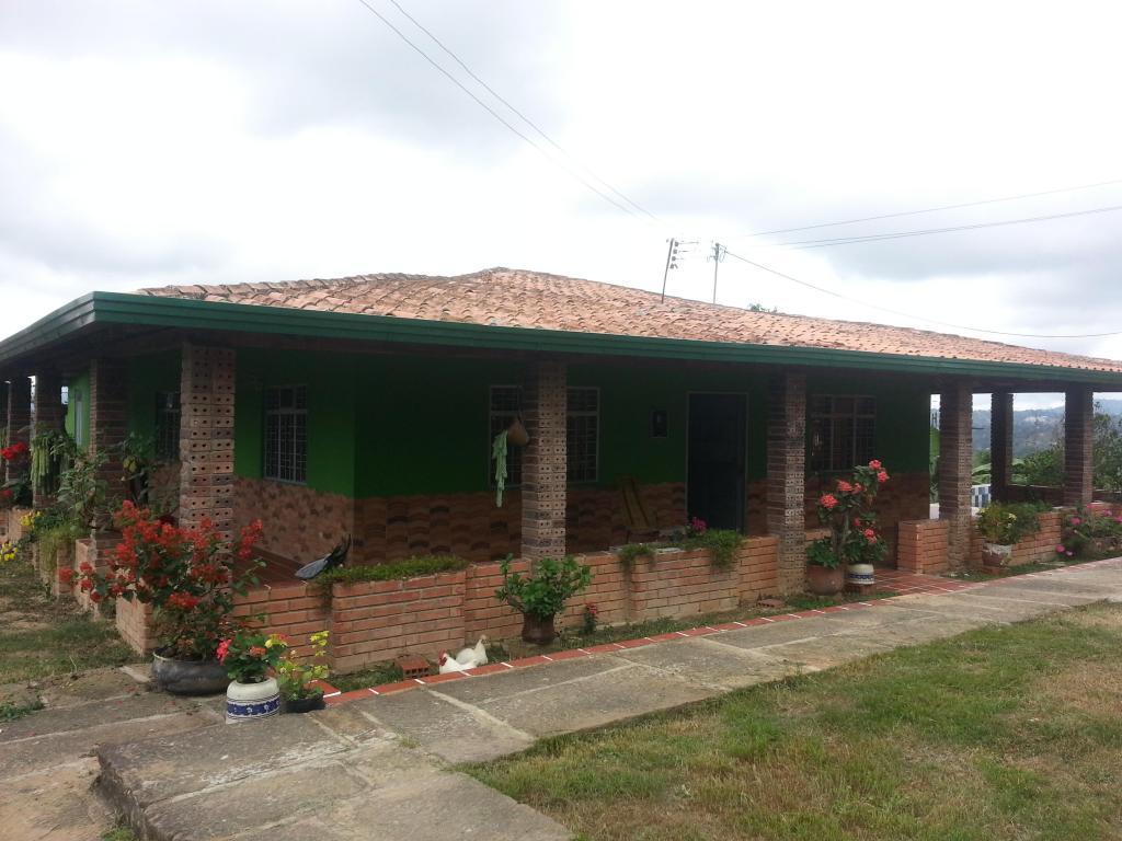 VENDO FINCA LEBRIJA PALONEGRO