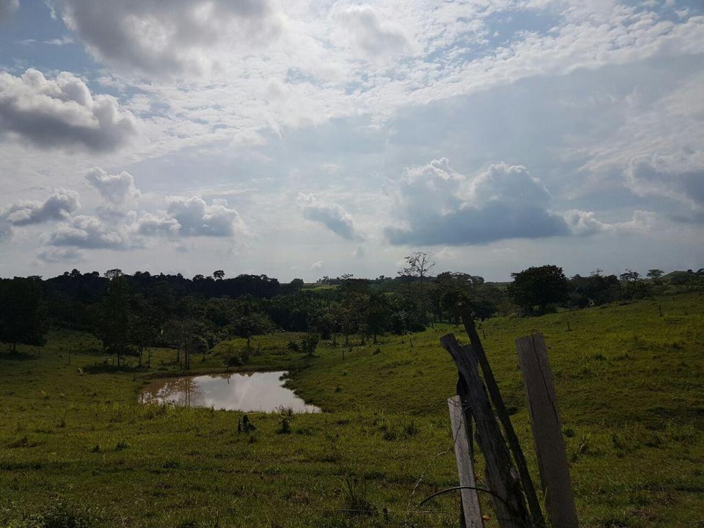 VENTA HERMOSA FINCA SECTOR LA LIZAMA COMUNÍQUESE YA 3187777657 CÓDIGO 103